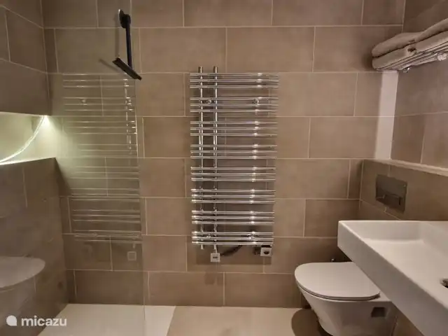 Villa la Golondrina huren in Spanje, Costa Blanca, Dénia - villa bathroom large bedroom with separate entrance