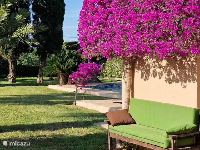 Villa la Golondrina huren in Spanje, Costa Blanca, Dénia - villa garden