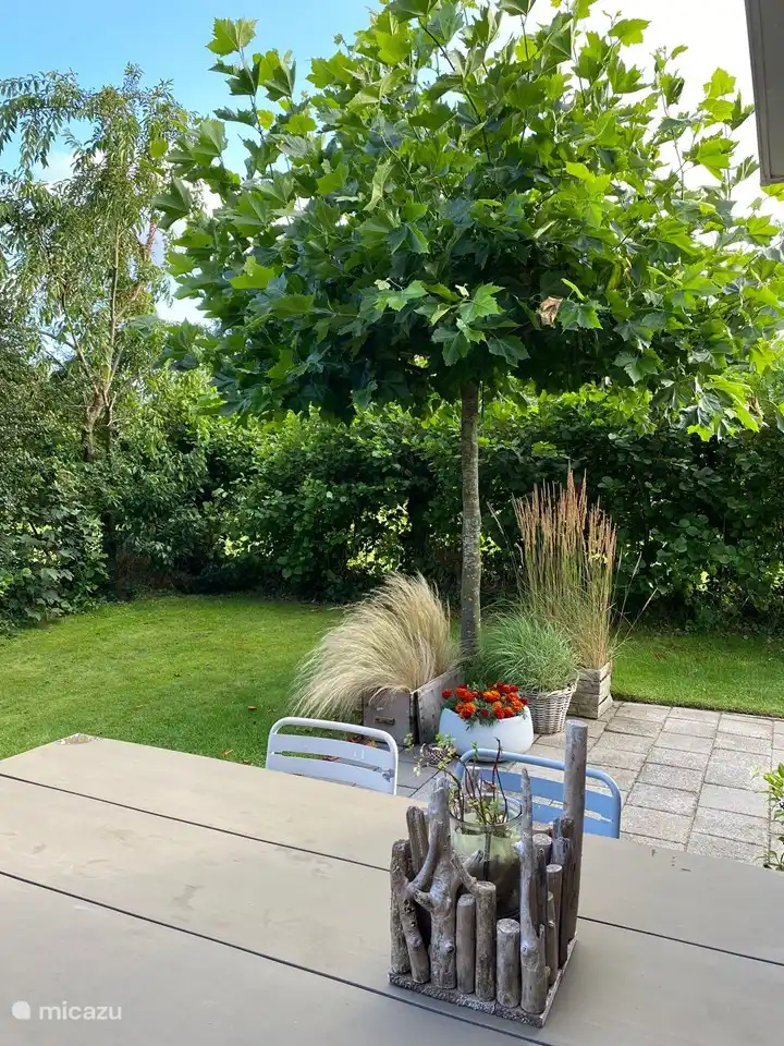 Wunderschöner Garten mit viel Privatsphäre