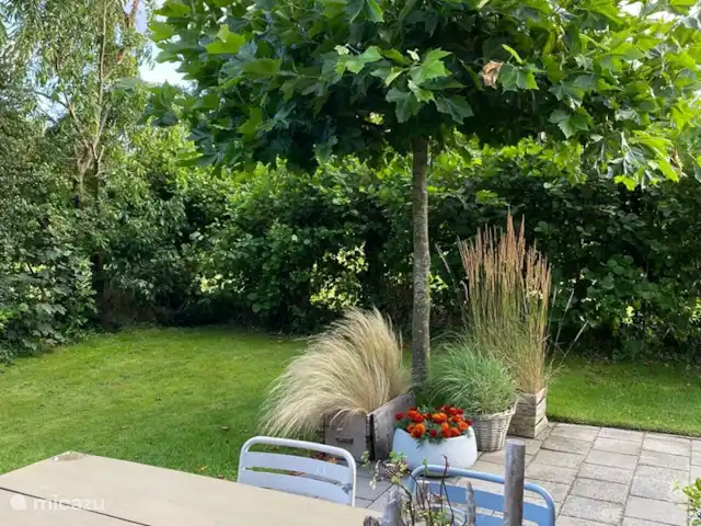 'De Krab' de Zuidhoek 2 huren in Nederland, Zeeland, Renesse - bungalow Geweldige tuin met veel privacy