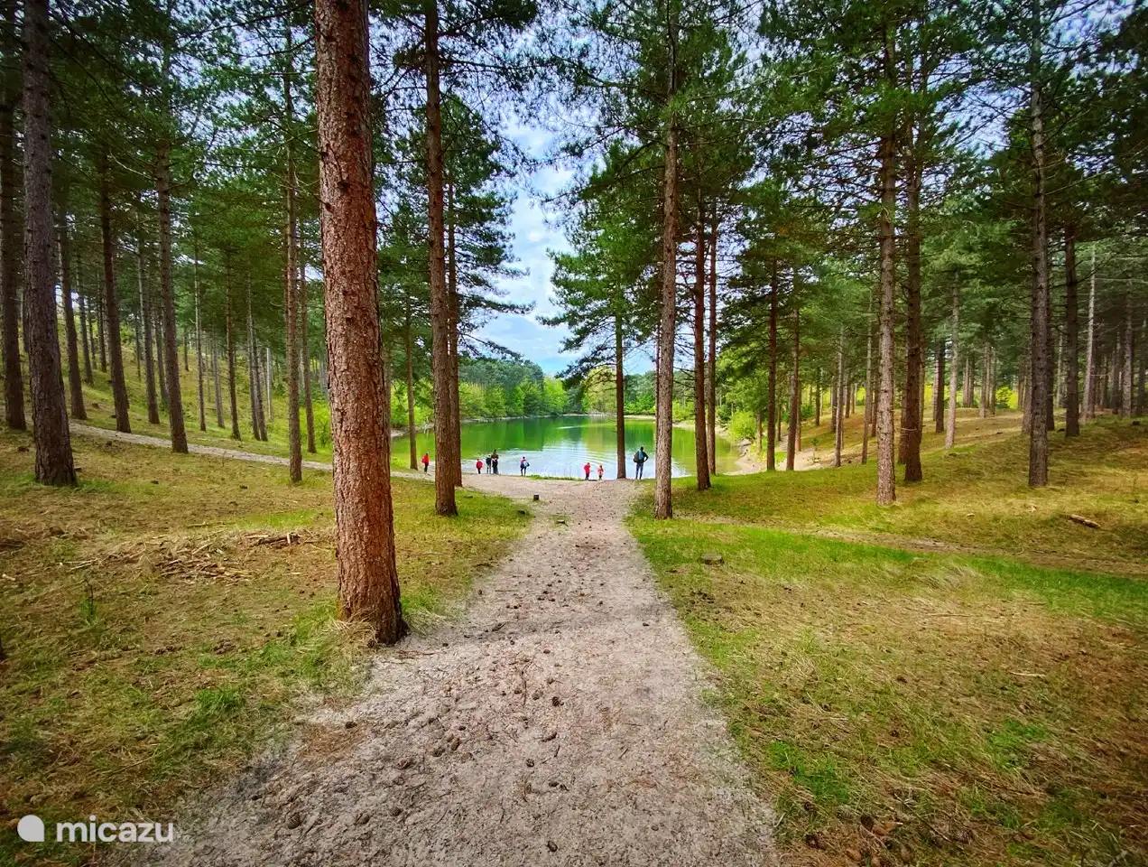 Forstwirtschaft Westerschouwen