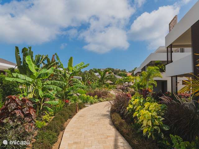 Vakantiehuis Curaçao, Banda Ariba (oost), Hoenderberg - appartement LUX Appartement 13