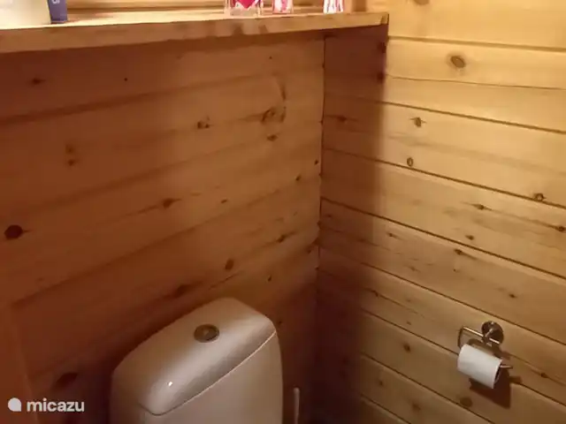 Chalet finlandais, dans un parc avec piscine | Pays-Bas, Overijssel, Gramsbergen - maison de vacances Toilette