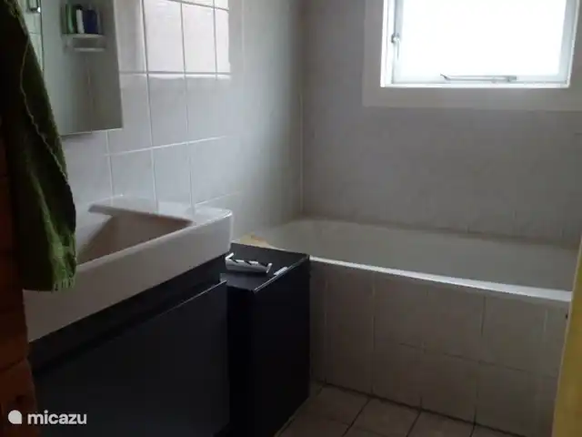 Chalet finlandais, dans un parc avec piscine | Pays-Bas, Overijssel, Gramsbergen - maison de vacances Salle de bain avec meuble lavabo de luxe et grand miroir avec lampe LED. Il y a aussi un radiateur infrarouge et une mini machine à laver (pour le petit linge).