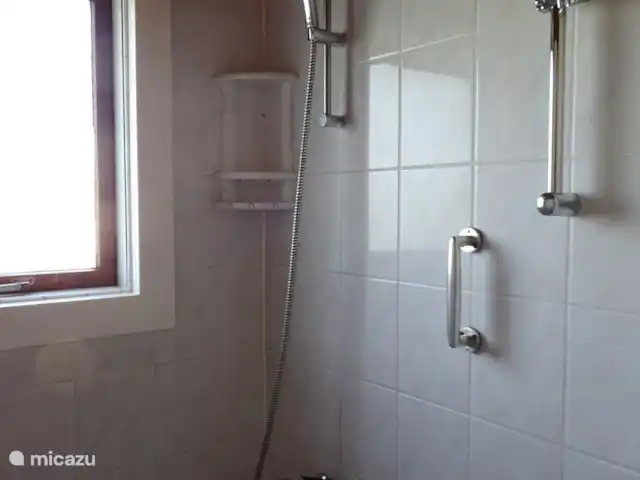 Chalet finlandais, dans un parc avec piscine | Pays-Bas, Overijssel, Gramsbergen - maison de vacances Salle de bain avec lavabo, douche et baignoire. Vous pouvez vous doucher dans ou à côté de la baignoire