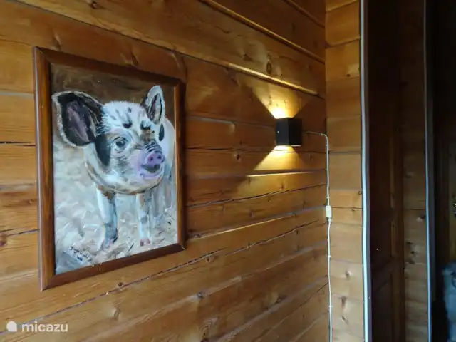 Chalet finlandais, dans un parc avec piscine | Pays-Bas, Overijssel, Gramsbergen - maison de vacances Veilleuse dans le couloir