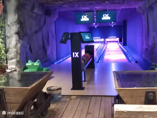 Chalet finlandais, dans un parc avec piscine | Pays-Bas, Overijssel, Gramsbergen - maison de vacances Bowling