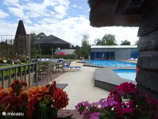 Chalet finlandais, dans un parc avec piscine | Pays-Bas, Overijssel, Gramsbergen - maison de vacances Piscine extérieure