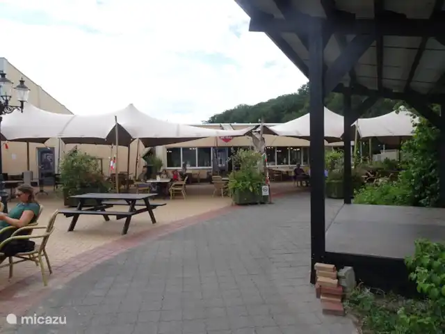Chalet finlandais, dans un parc avec piscine | Pays-Bas, Overijssel, Gramsbergen - maison de vacances Terrasse avec scène