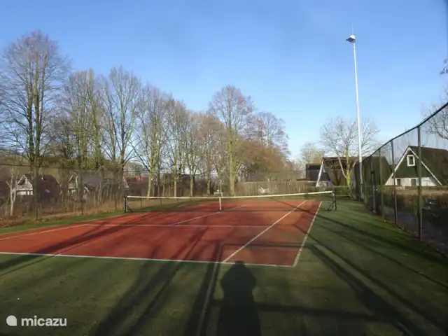 Chalet finlandais, dans un parc avec piscine | Pays-Bas, Overijssel, Gramsbergen - maison de vacances Court de tennis