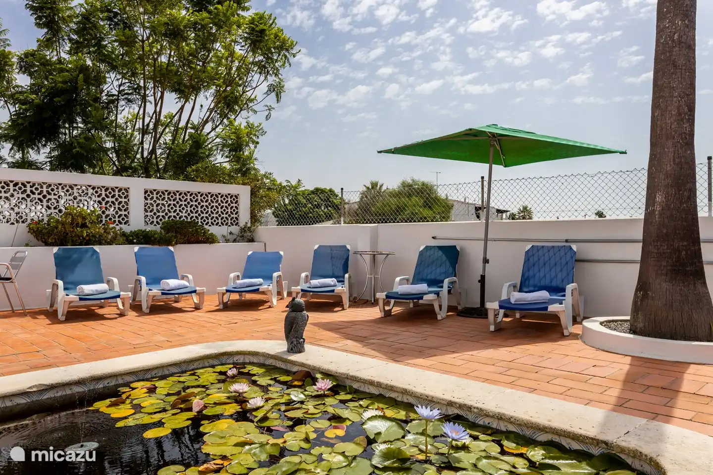 Estanque con tumbonas