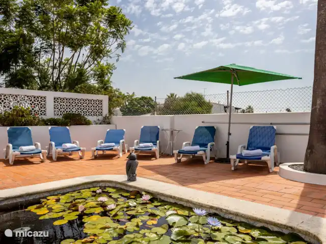 Casa Cinco Cupules | Portugal, Algarve, Porches (Lagoa) - villa Bassin avec transats
