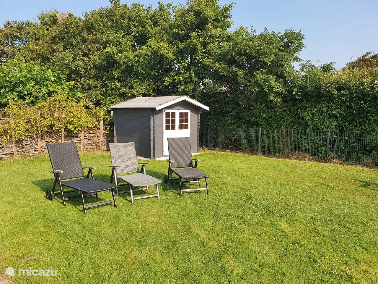 cour arrière clôturée