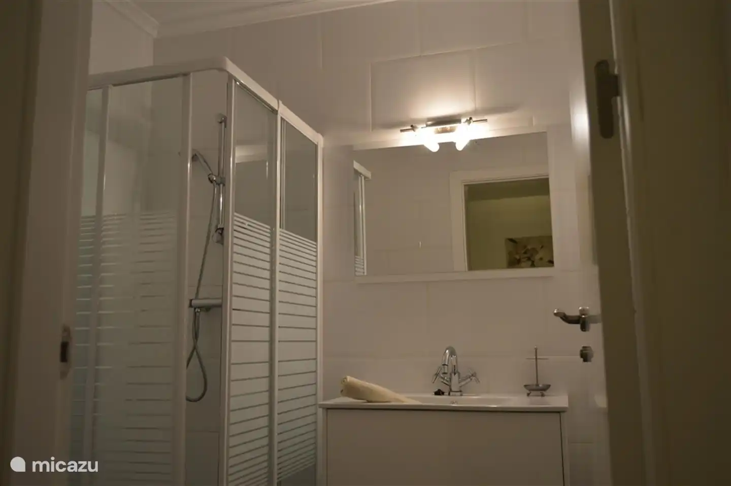 Ensuite bathroom with shower