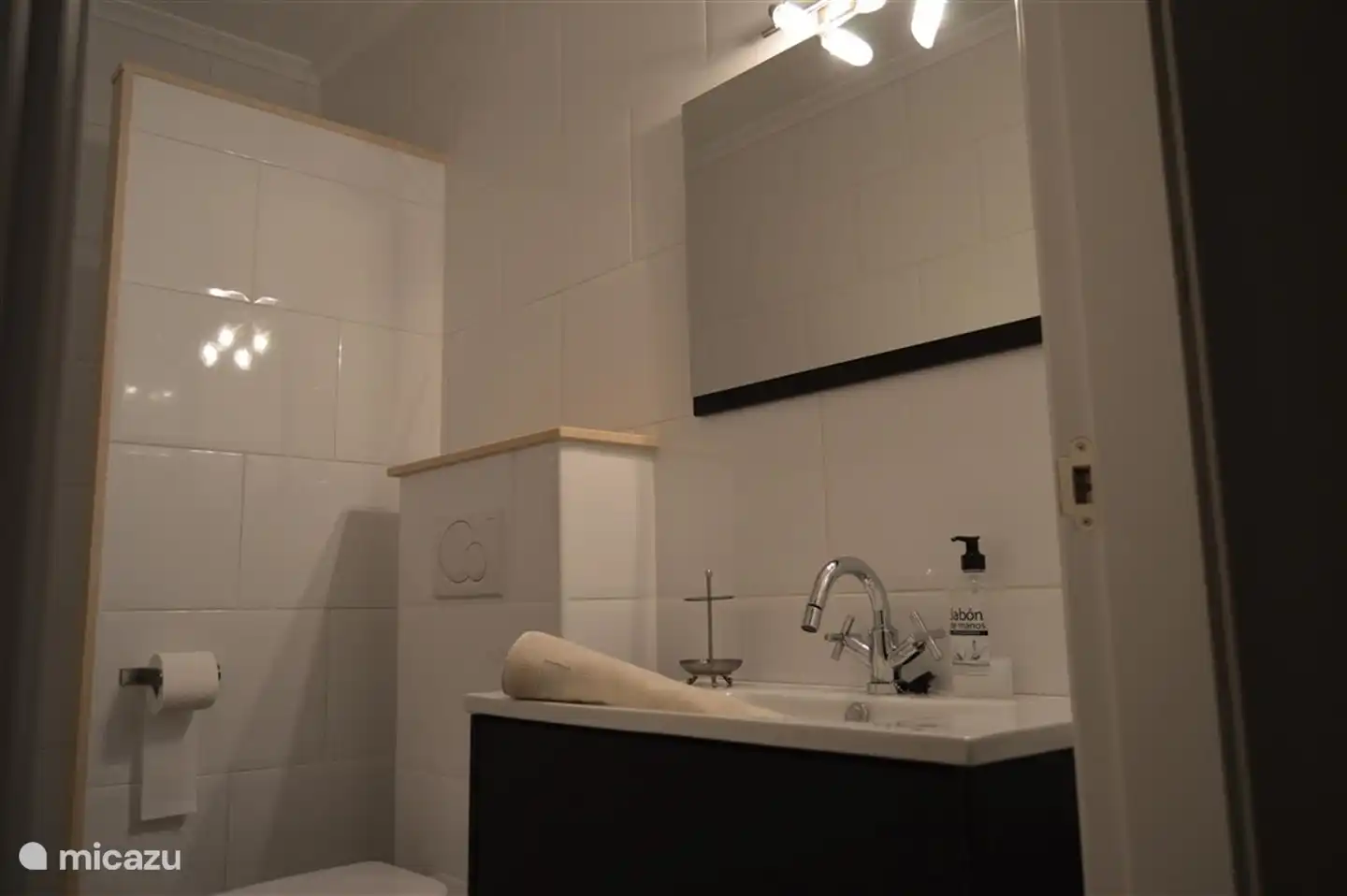 Separate bathroom with shower