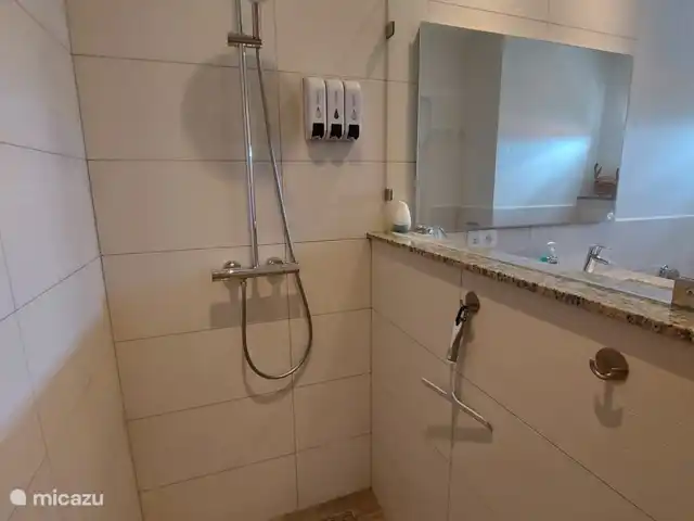 BlijeRust Penthouse Curadise | Curaçao, Curaçao-Centre, Blue Bay - appartement La spacieuse douche à l’italienne avec douche à effet pluie.