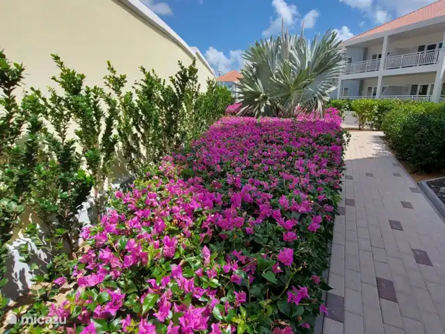 BlijeRust Penthouse Curadise | Curaçao, Curaçao-Centre, Blue Bay - appartement