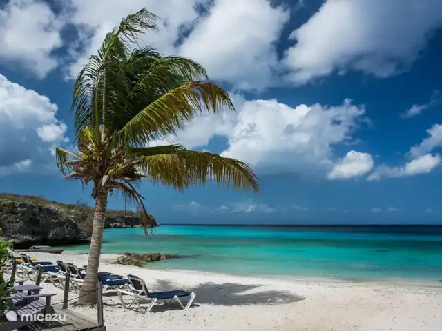 BlijeRust Penthouse Curadise | Curaçao, Curaçao-Centre, Blue Bay - appartement Plage Porto Marie