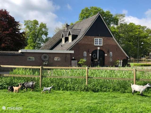 Maison de Vacances Pays-Bas, Overijssel, Hof van Twente - appartement Patrimoine Geuzendam