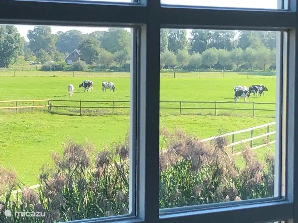 schöne Aussicht aus allen Zimmern