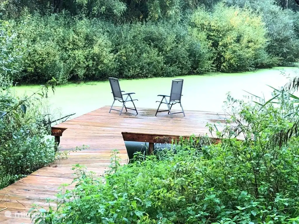 Entspannen Sie am Naturteich auf Ihrem eigenen Grundstück