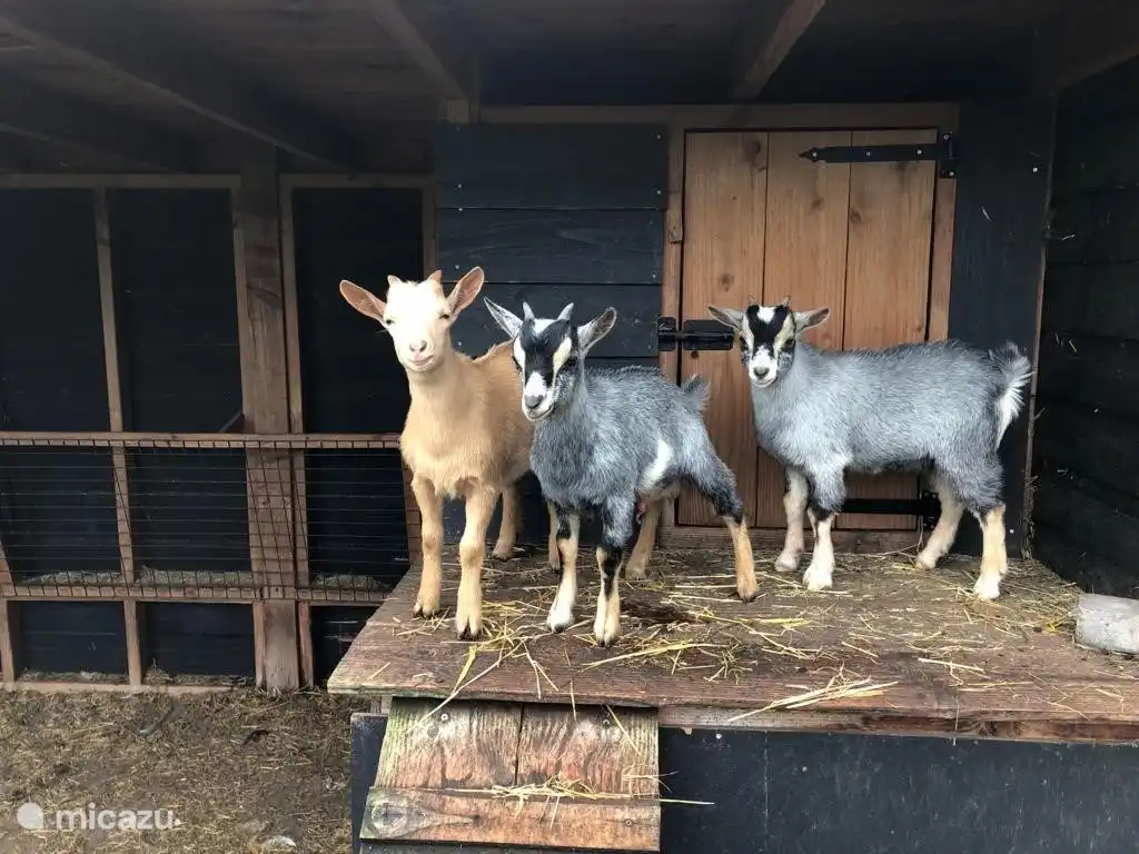 Wir warten bereits auf Sie