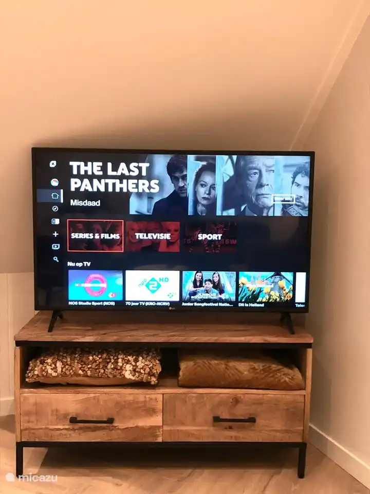 Smart-TV mit Canal+ und Netflix