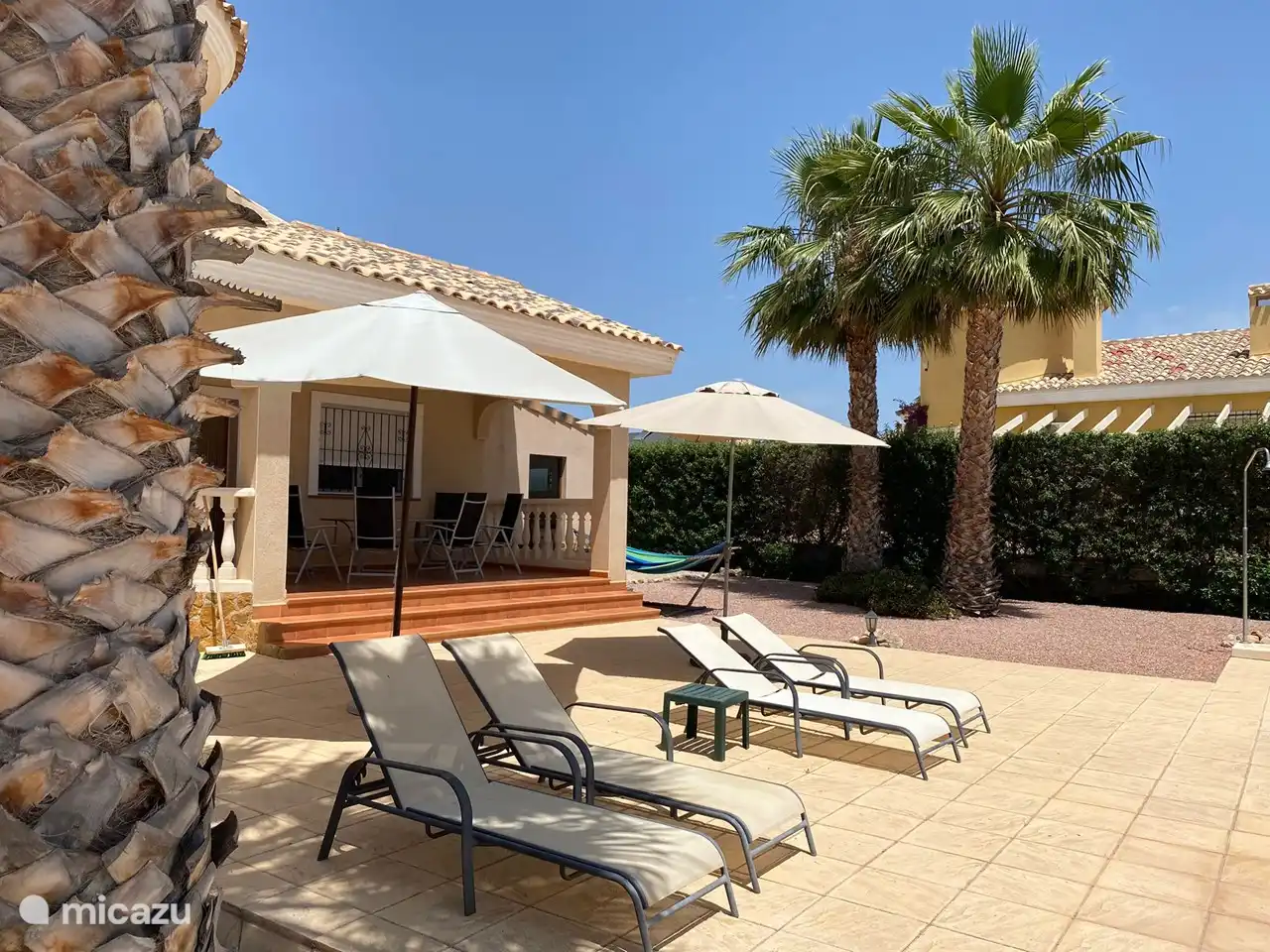 Achtertuin en terras