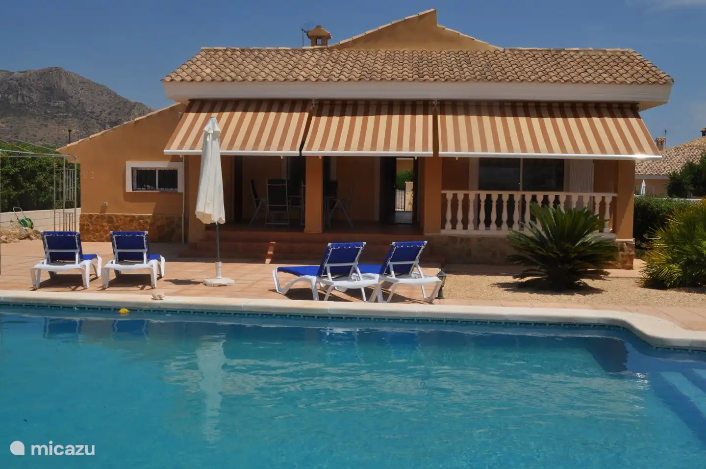 Achtertuin en zwembad