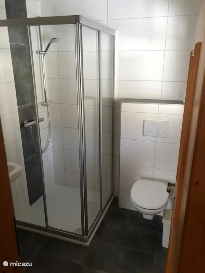 Badkamer appartement voor gezamenlijk gebruik plus toilet