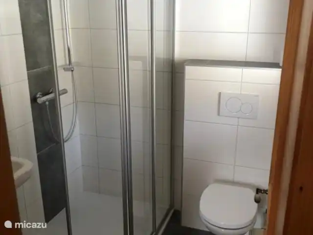 Maison Véronique | Autriche, Salzburgerland, Dorfgastein - maison de vacances Salle de bain appartement à usage commun plus toilettes