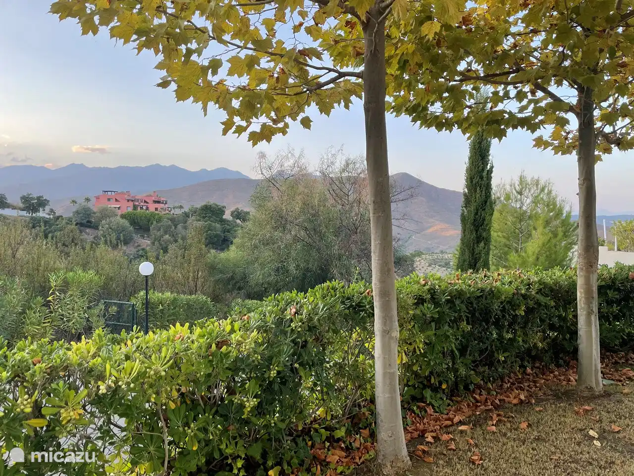 Vista desde el lateral hacia el jardín.
