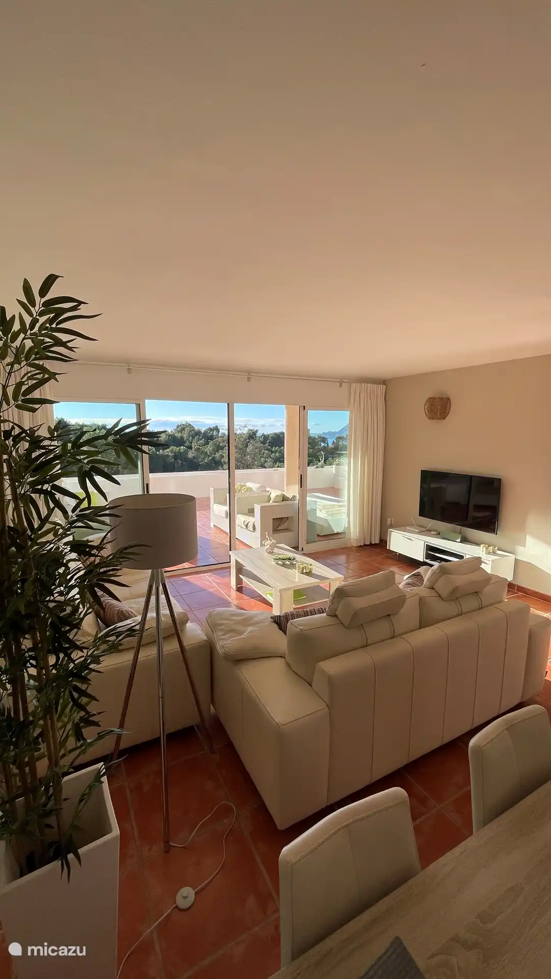 Salon et terrasse très spacieux