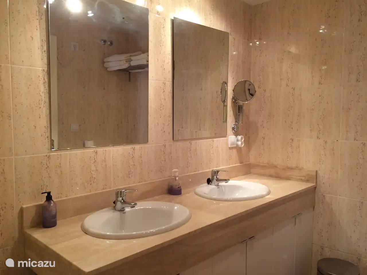 salle de bain avec baignoire et double vasque