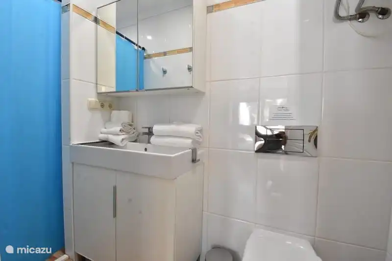 Badezimmer mit begehbarer Dusche