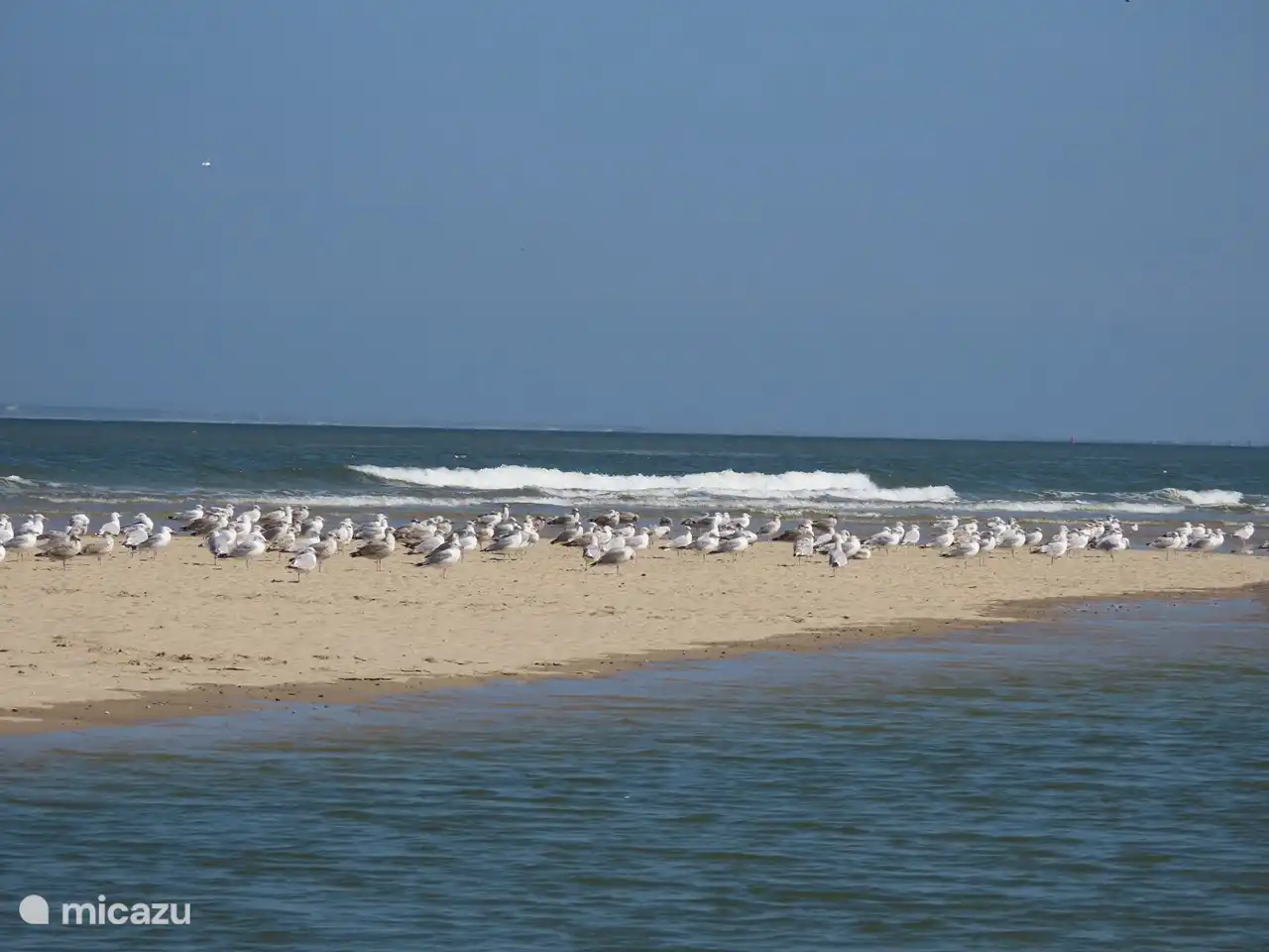 Zon, zee, heerlijke eindeloze stranden, mooie kleine stadjes... dat is Zeeland!
