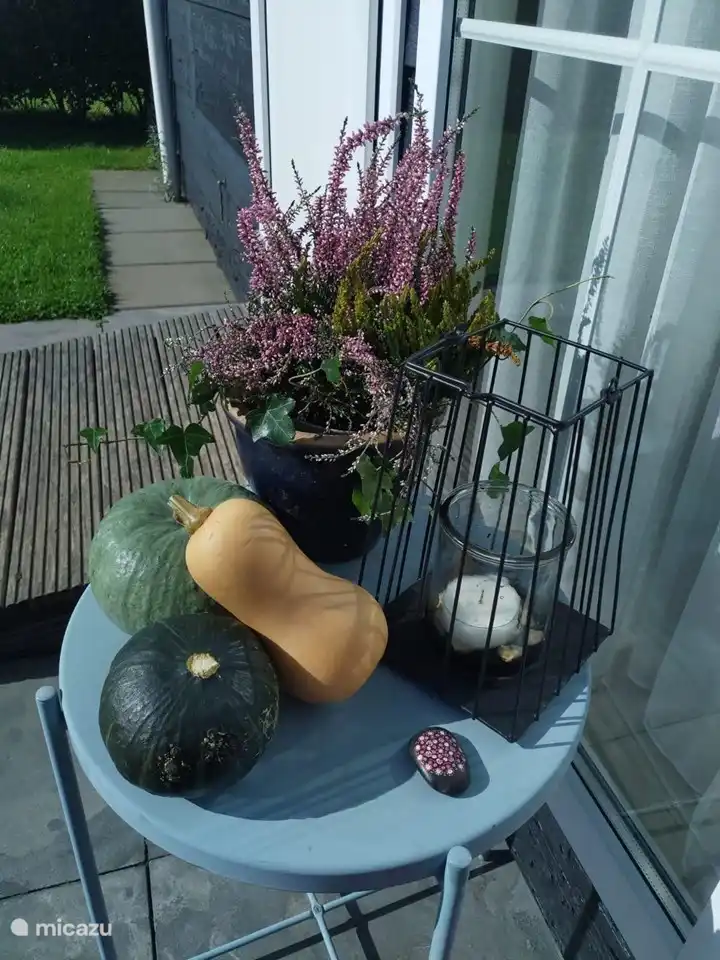 Uw vakantiewoning... van harte welkom in Olmenduin No.49