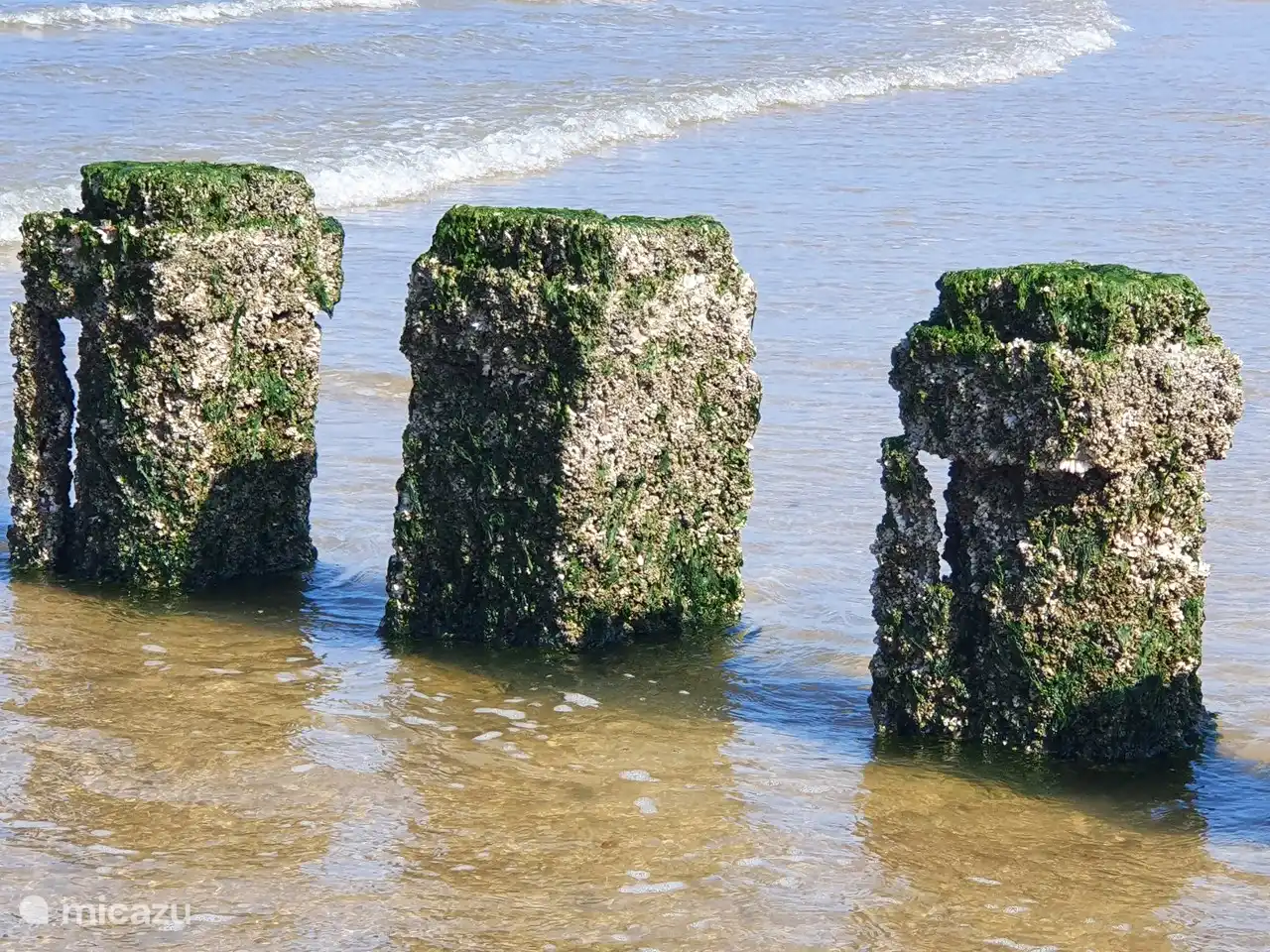 Zon, zee, heerlijke eindeloze stranden, mooie kleine stadjes... dat is Zeeland!