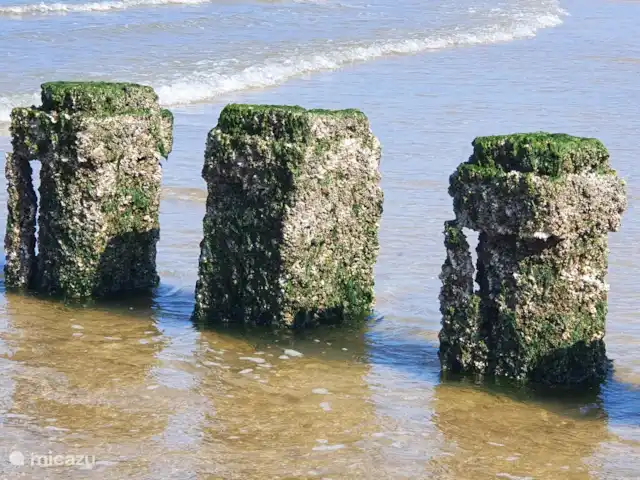 OLMEN DUIN N°49 | Pays-Bas, Zélande, Serooskerke - chalet Le soleil, la mer, de merveilleuses plages infinies, de belles petites villes... c'est la Zélande !