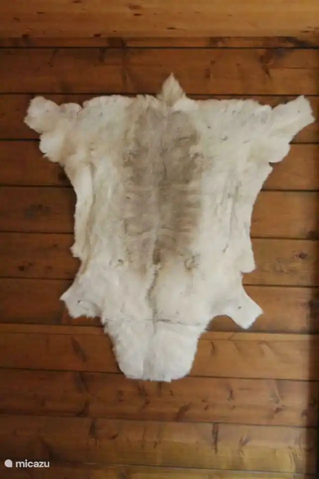 Wohnen im alpinen Stil