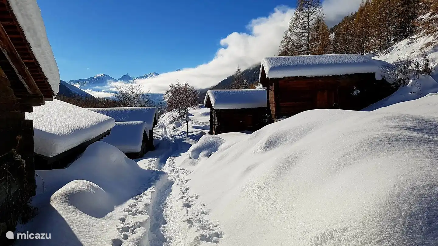 Auch Winterwanderer sind im Lötschental genau richtig. Rund 50 km bestens präparierte Winterwanderwege und 7 Schneeschuhtouren führen durch eine wunderschöne weiße Welt. Es lädt zum Entspannen und Genießen der Ruhe und Natur ein.
