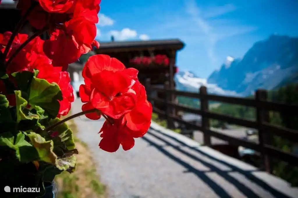 Das magische Tal ist bekannt für seine Flora und Fauna