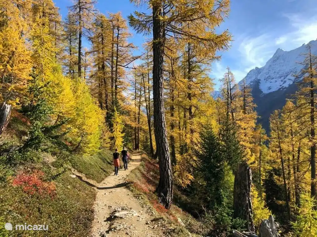 Im Herbst wird das Lötschental zu Gold. Atemberaubend schön im Sommer und darüber hinaus.