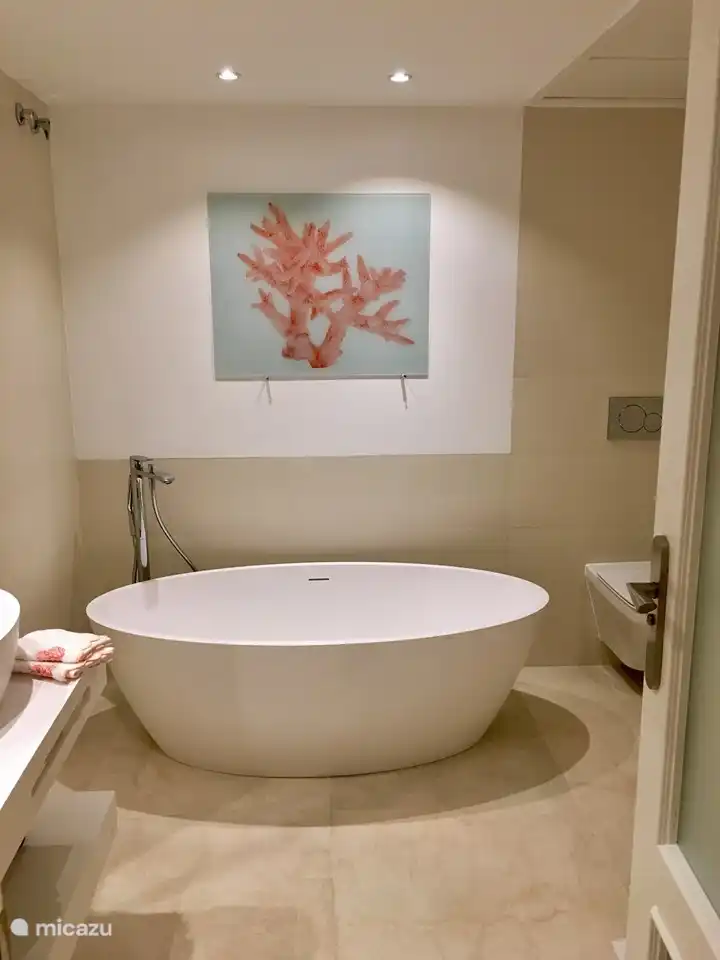 Sag nicht mehr .....