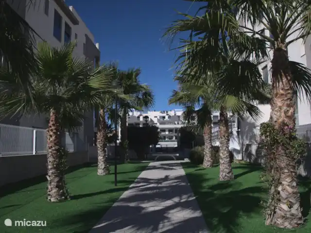 Location de Vacances Espagne, Costa Blanca, Villamartin, penthouse - Palmera Penthouse, Valentino Golf I L'espace vert extérieur.