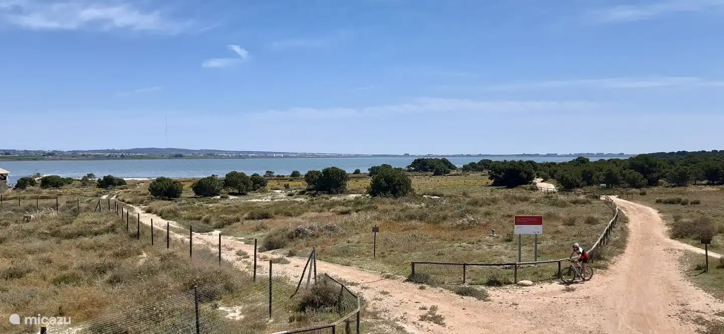 Im blauen Salzsee (nördlich von Villamartín) haben Sie die Chance, Flamingos zu sehen!