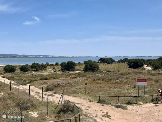 Location de Vacances Espagne, Costa Blanca, Villamartin, penthouse - Palmera Penthouse, Valentino Golf I Dans le lac salé bleu (au nord de Villamartín), vous avez la chance de voir des flamants roses !