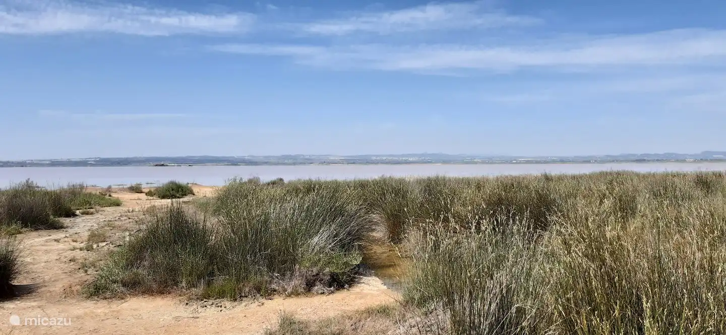 Der rosafarbene Salzsee (direkt nördlich von Villamartín), aus dem Salz gewonnen wird.