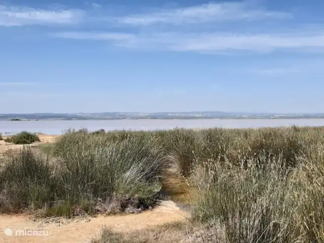 Location de Vacances Espagne, Costa Blanca, Villamartin, penthouse - Palmera Penthouse, Valentino Golf I Le lac salé rose (immédiatement au nord de Villamartín), d'où l'on extrait le sel.