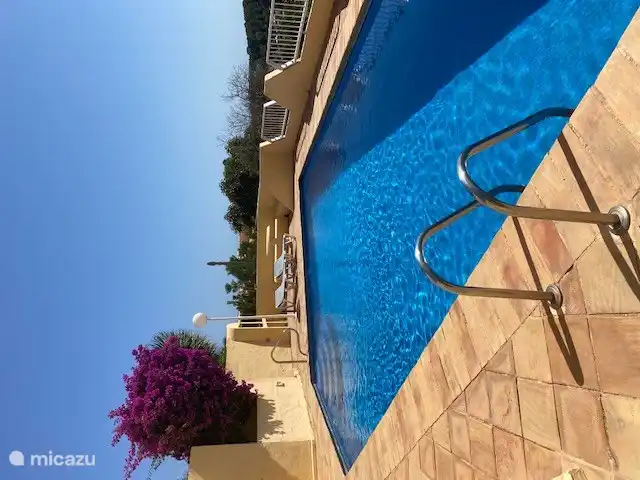 Grande piscine (environ 12 x 5 mètres)